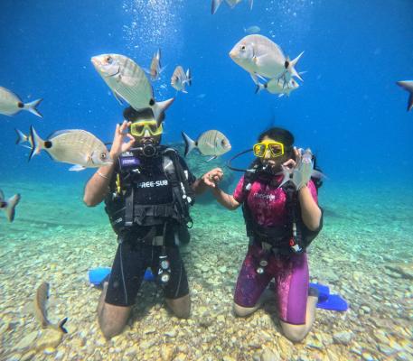 Ölüdeniz Dalış Turu